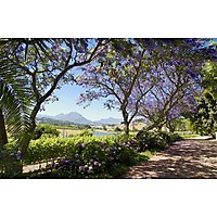 Remhoogte Wine Estate image